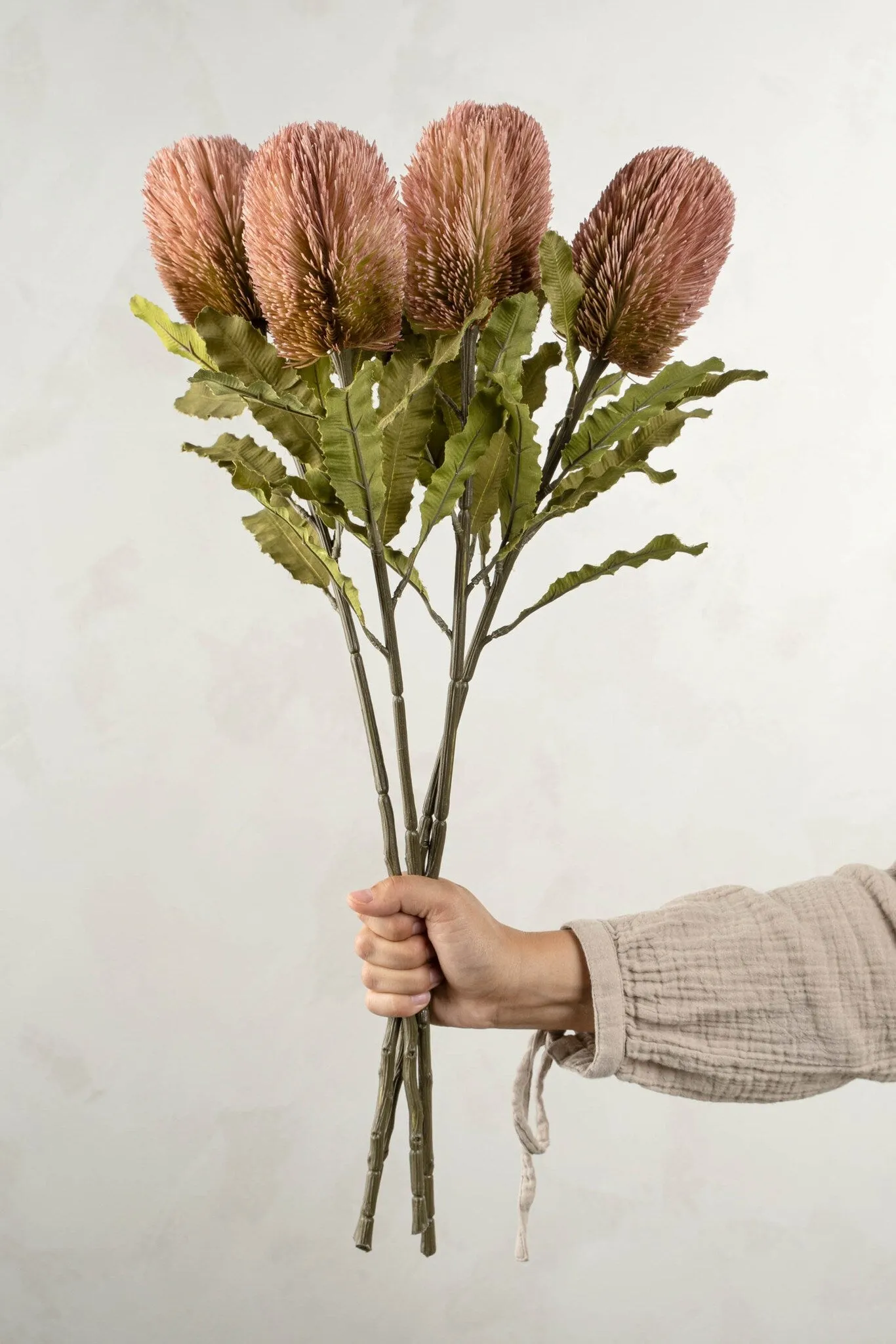 Banksia Floral Stem