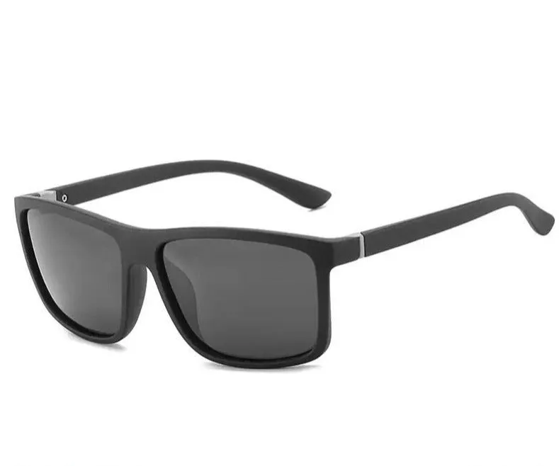 Modern Polarised Sunglass S3335010